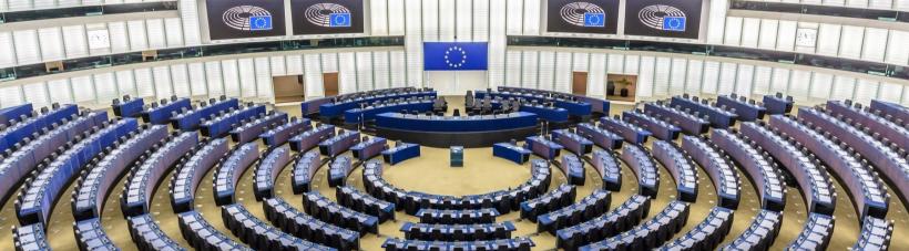 Lista nominală a noilor europarlamentari români - parlamenteuropeanstatemembrealeg-1718023594.jpeg