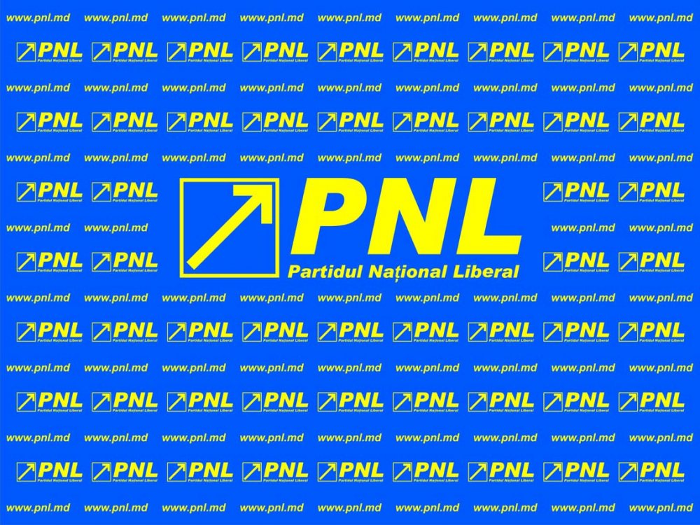 DEMISIE de la conducerea PNL! - pavlicencomdpnlsiglalogo-1559547611.jpg