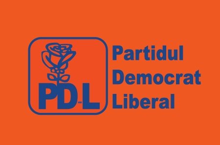 ALEGERI ÎN PDL: Democrat-liberalii își aleg astăzi noul LIDER - pdl-1364025349.jpg