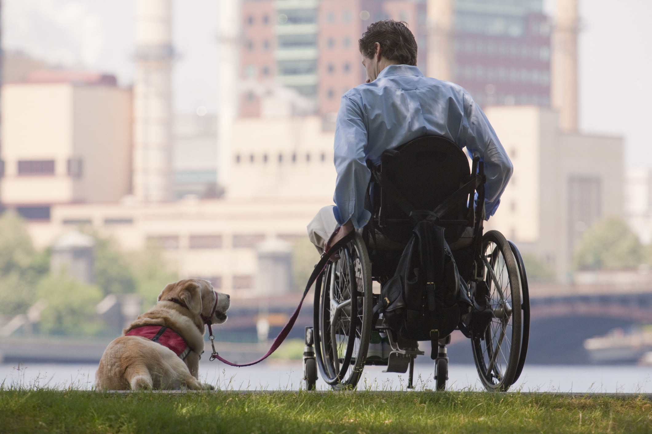 Senatul a decis: Persoanele cu dizabilități vor avea acces cu animale ghid în spații publice - persoane-dizabilitati-1698314098.jpg