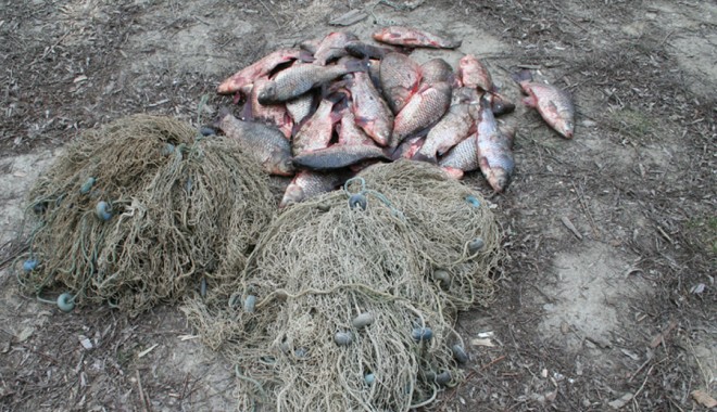Peste 400 de kilograme de pește confiscate de polițiștii de frontieră - pescuit13389728061349124306-1351891740.jpg