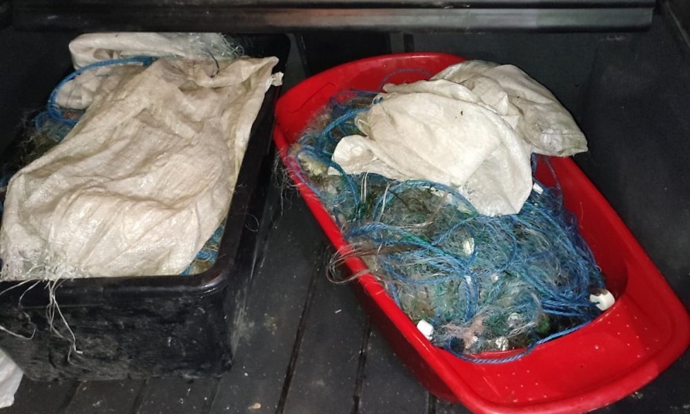 Zeci de kg de pește braconat și 240 metri plasă mono-filament, descoperite de polițiștii de frontieră - peste-1636625557.jpg