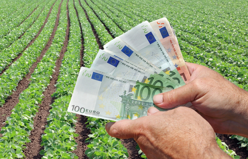 Peste 110 milioane de euro, pentru fermierii din sectorul vegetal - peste110milioane-1466175776.jpg