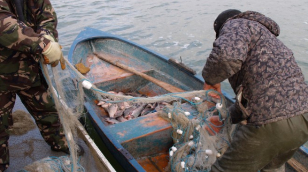 Pește confiscat la Pardina - peste132645574003798100134641379-1353361358.jpg