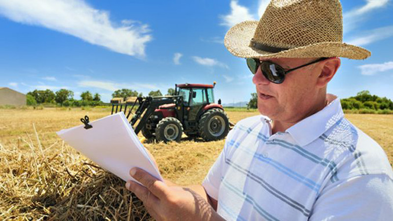 Peste 884 de mii de fermieri au depus cereri de plată - peste884demii-1494944037.jpg