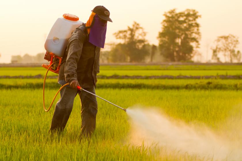 Pesticide aruncate la întâmplare! Zeci de căprioare, iepuri și păsări, găsite otrăvite pe câmp - pesticide-1552826187.jpg