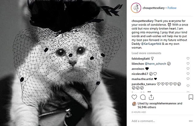 Pisica lui Karl Lagerfeld va lansa o linie de haine, în memoria creatorului de modă - pisica-1552726518.jpg