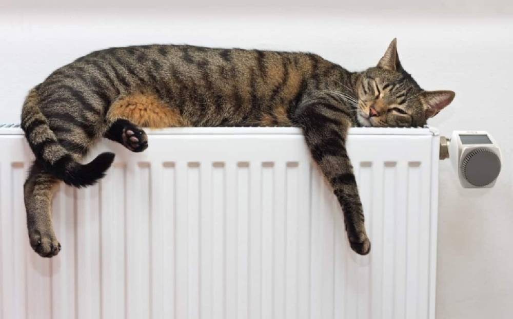 RADET. Se oprește furnizarea căldurii, la Constanța. Iată de când - pisicacalorifer-1493477008.jpg