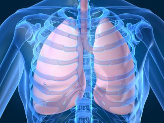 Primele semne ale cancerului pulmonar ar putea fi detectate cu ajutorul unui test respirator - plamani-1398873368.jpg