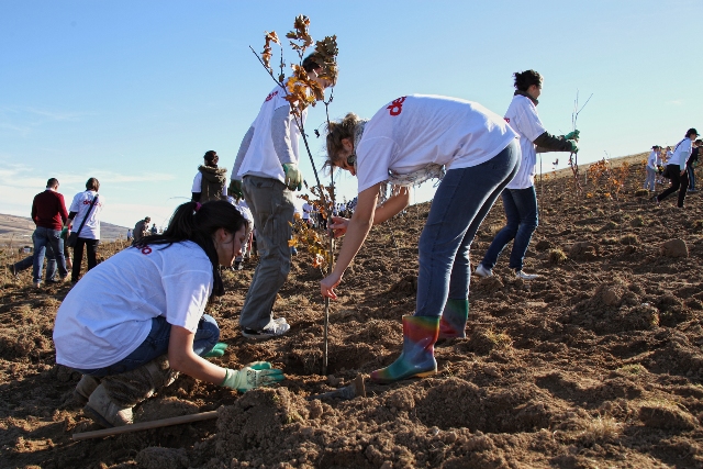 Voluntarii plantează copaci în parcurile Constanței - plantarecopaci-1351717541.jpg