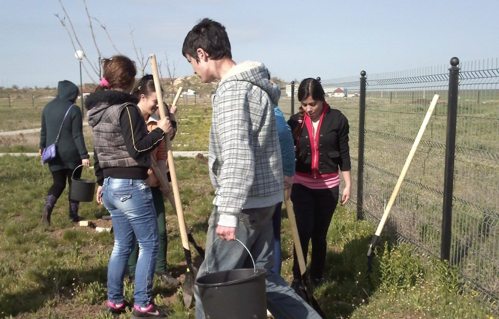 Tinerii din PSD Cumpăna au plantat copaci în localitate - plantarecopacicumpanaimg246-1366537980.jpg
