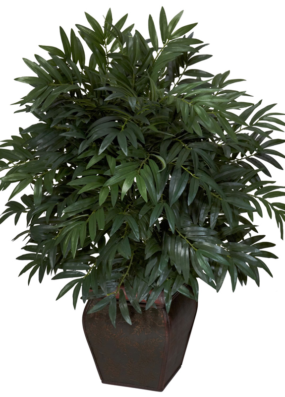 Plante care purifică aerul - plantecarepurificaaerul-1365435024.jpg
