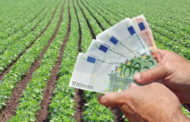 Plăți de peste 219 milioane euro pentru fermierii din sectorul vegetal - plati-1460901329.jpg