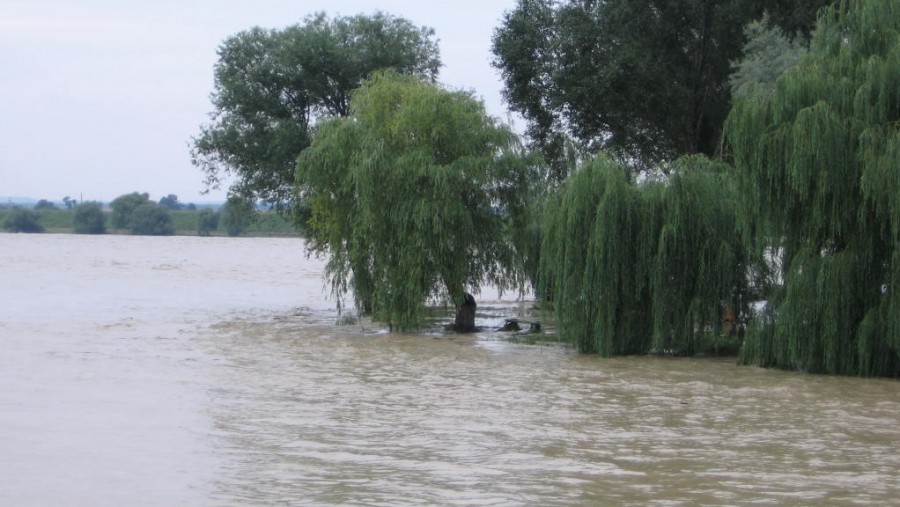 INHGA / COD GALBEN de inundații în Dobrogea, menținut până la ora 15.00 - ploaie-1408261596.jpg