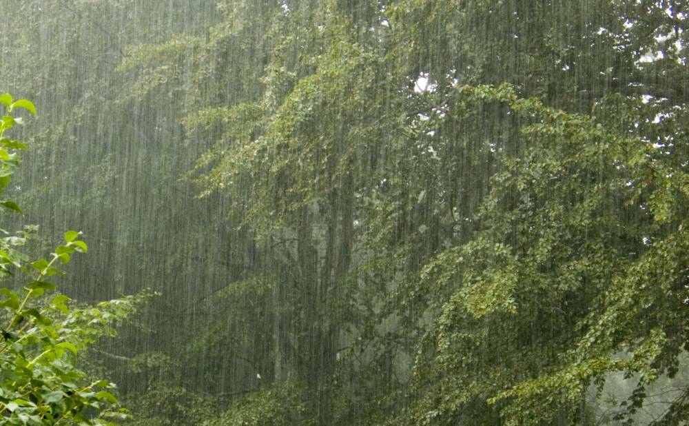 După-amiază cu ploi, astăzi, la Constanța! - ploaieinherastrau-1497427656.jpg