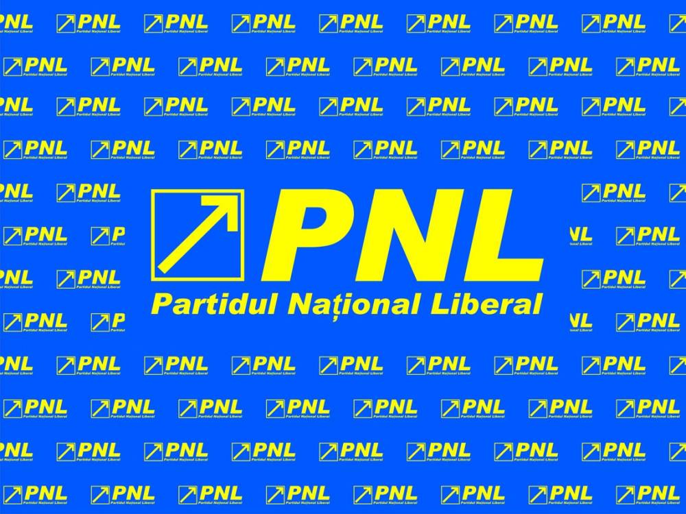 PNL a convocat Convenția Națională. Iată când va avea loc - pnlgata-1488632575.jpg