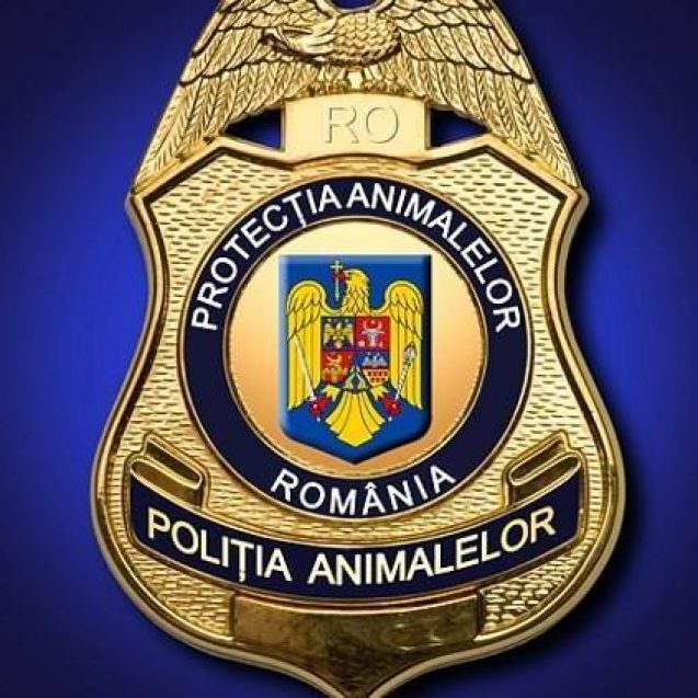 Răsturnare de situație în cazul muncitorului asiatic, acuzat că mănâncă pisici! Anunțul autorităților române - politiaanimalelor-1654346957.jpg