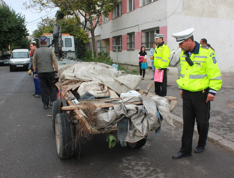 Poliția Locală le-a pus gând rău căruțașilor din Constanța - politialocalaactiunecarute451380-1468226606.jpg