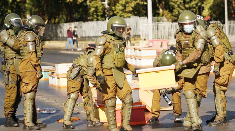 Polițiști înțepați de sute de albine la un protest, în Chile - politistialbine-1641398622.jpg