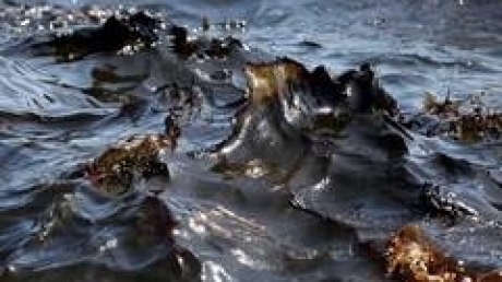 Poluare pe Dunăre: o pată de petrol de un kilometru - poluareadunariiunpericolpentruju-1320847184.jpg