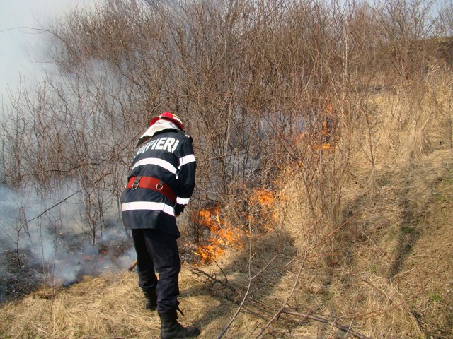 Rezervația Delta Dunării, mistuită din nou de flăcări - pompieri1-1315761080.jpg