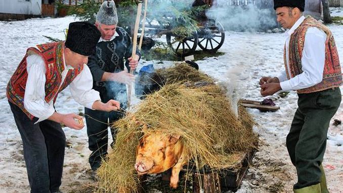 Porcul, vedeta Crăciunului la români. Ce reguli trebuie să respecţi la tăierea porcului ca să nu-ţi iei amendă - porc2-1670781196.jpg
