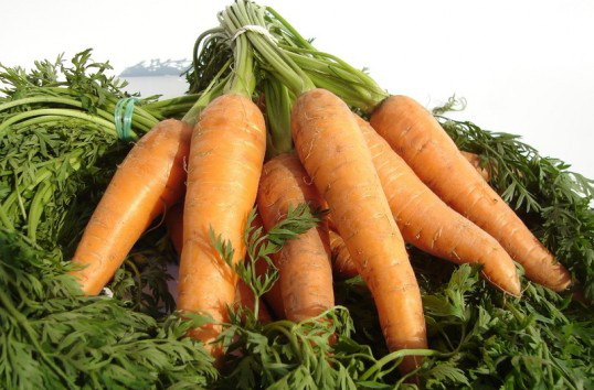 Frunzele de morcov, sursă de vitamine - portianatura-1314376595.jpg