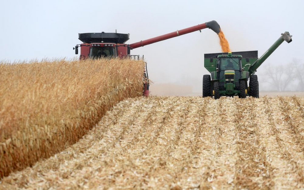 Preţul cerealelor a atins cel mai înalt nivel din ultimii ani - pretulcerealelor-1619348766.jpg