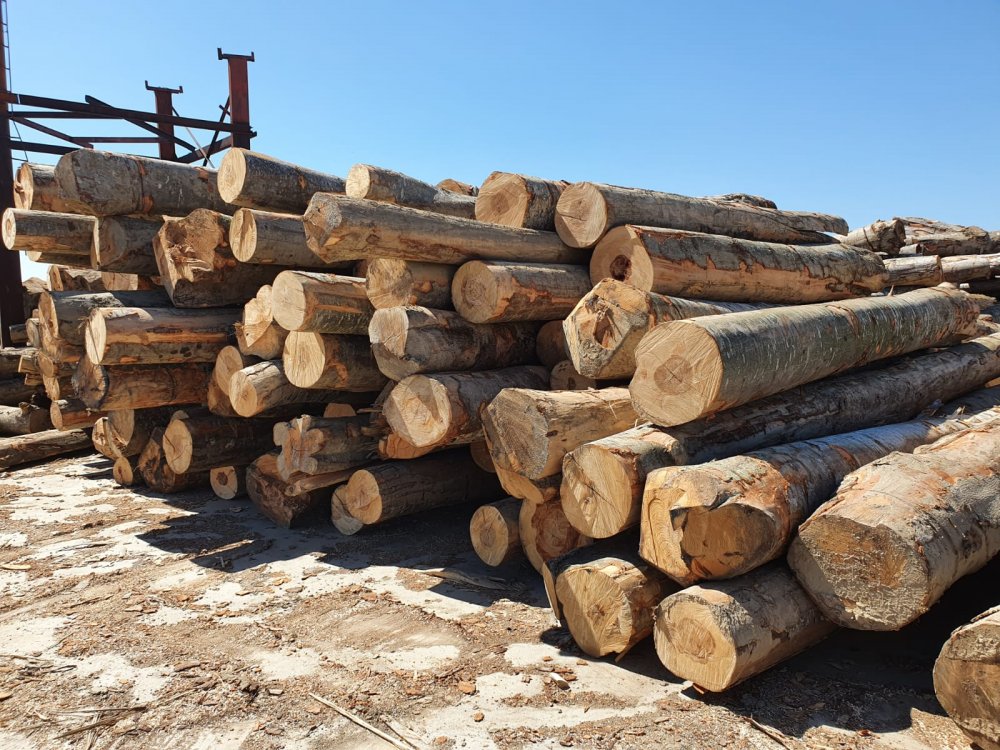 Prețul lemnului de foc a fost plafonat. Cine beneficiază de aceste măsuri - pretullemnuluidefocafostplafonat-1665046330.jpg