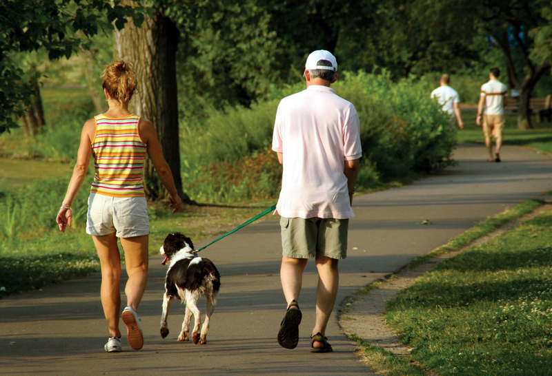 Primăria Constanța vrea să amenajeze spații speciale pentru plimbarea câinilor cu stăpâni - primariaconstantaspatiicaini-1478536592.jpg