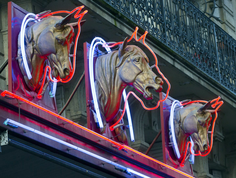 Primele audieri  în scandalul  cărnii de cal în Franța - primele-1387376807.jpg