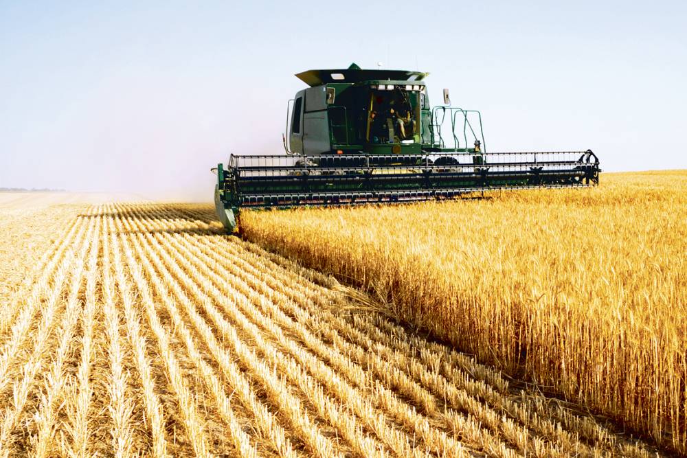 Producția agricolă a fost mai mare cu 2,9% în 2014 - productiaagricola-1444903217.jpg