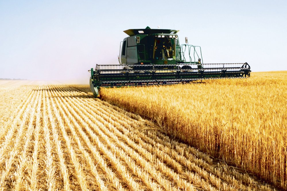 Producţia agricolă a UE este în creştere - productiaagricolaaue-1605545568.jpg