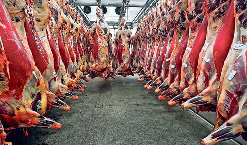 Producția de carne a scăzut în 2013 - productiacarne-1404142319.jpg