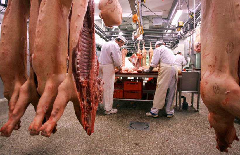 Producția de carne, în creștere  la toate speciile de animale - productiacarne-1407516600.jpg