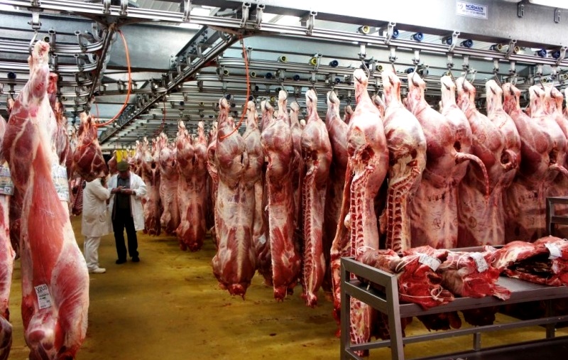 Producția de carne s-a redus în timpul pandemiei Covid - productiadecarne1006-1591787941.jpg