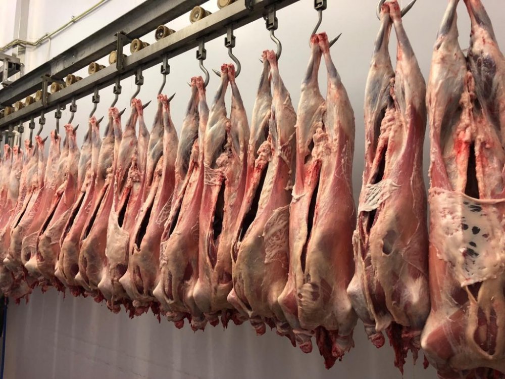 Producția de carne de porc, în scădere - productiadecarne1010-1665405550.jpg