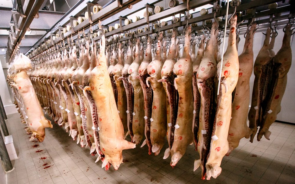Iată cum a evoluat producția de carne în anul 2020 - productiadecarneeindeclin902-1612863504.jpg