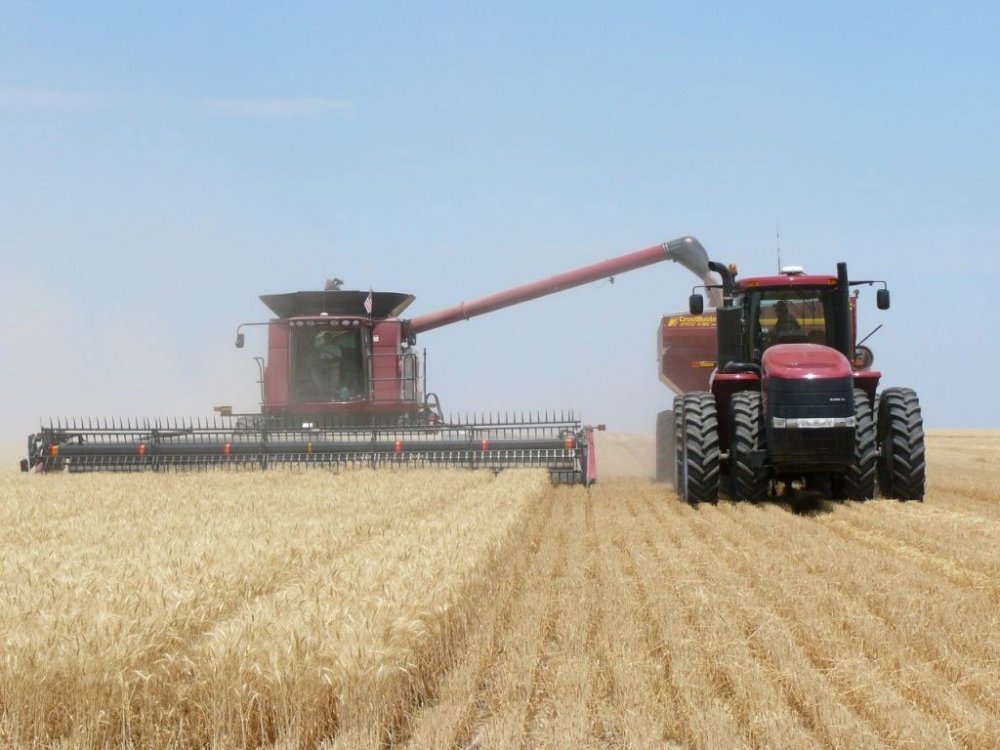 Prognoză pozitivă pentru producția de cereale. Fermierii au un an mai bun decât 2022 - productiadegrau-1691423564.jpg