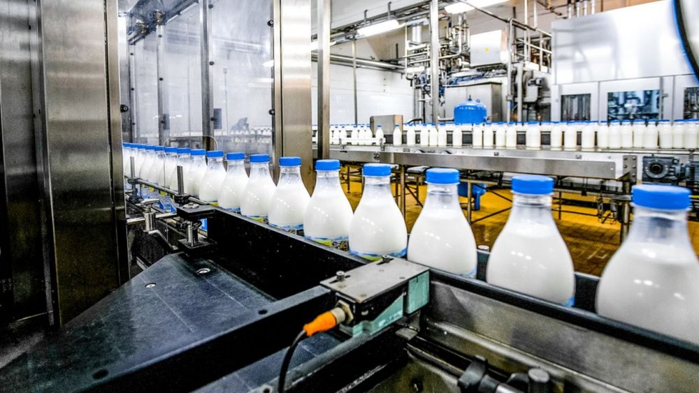 Importurile de lapte cresc, iar producția internă e în declin - productiadelapte1210-1665585272.jpg