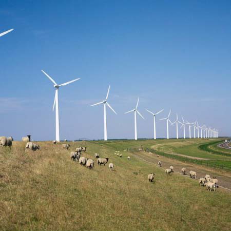Producția din centralele electrice eoliene a crescut cu 87,76% - productiaeoliene-1389366923.jpg