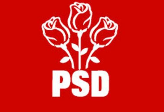 Alegeri PSD/  Manuela Mitrea și Mădălin Voicu, ABSENȚI! - psd-1365434129.jpg