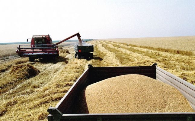 Reguli mai stricte pe piața cerealelor - regulimaistrictepepiatacerealelo-1510234251.jpg