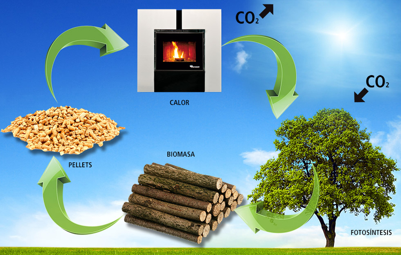 Reuniune dedicată bioenergiei și biomasei - reuniunededicata-1458490211.jpg
