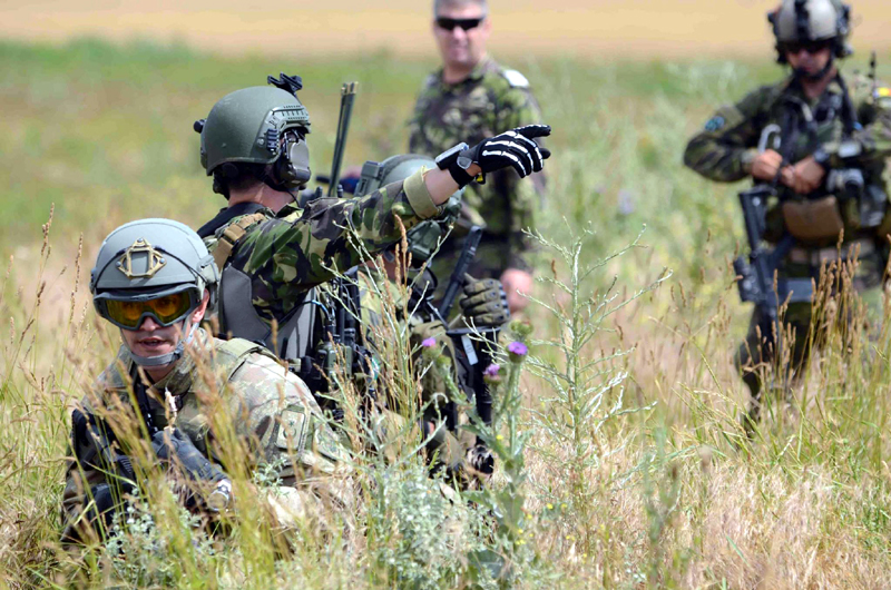 Armata română participă la primele exerciții militare în 2017 - romania-1485884108.jpg