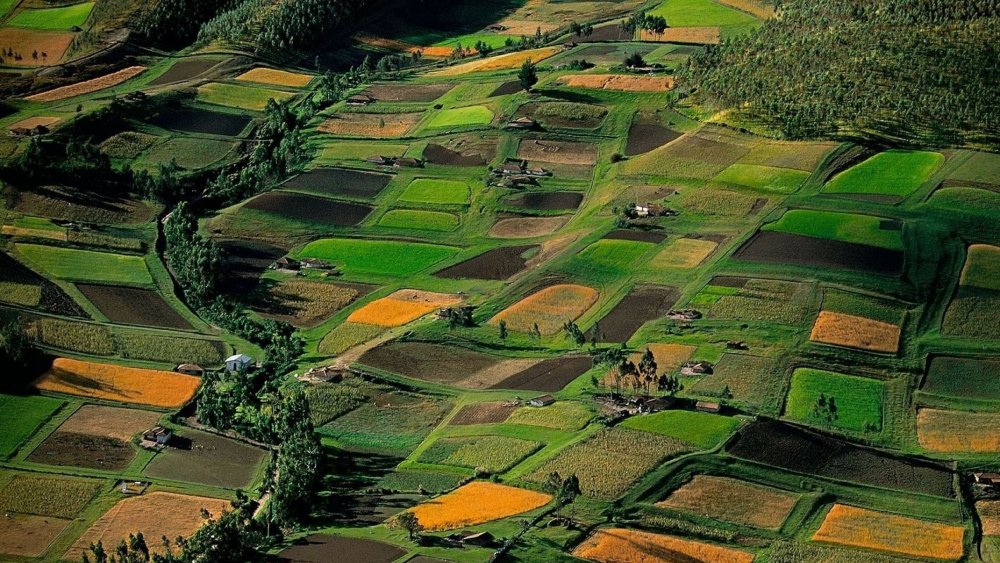 România are prea puţine terenuri destinate agriculturii ecologice - romaniaarepreaputine-1612172873.jpg