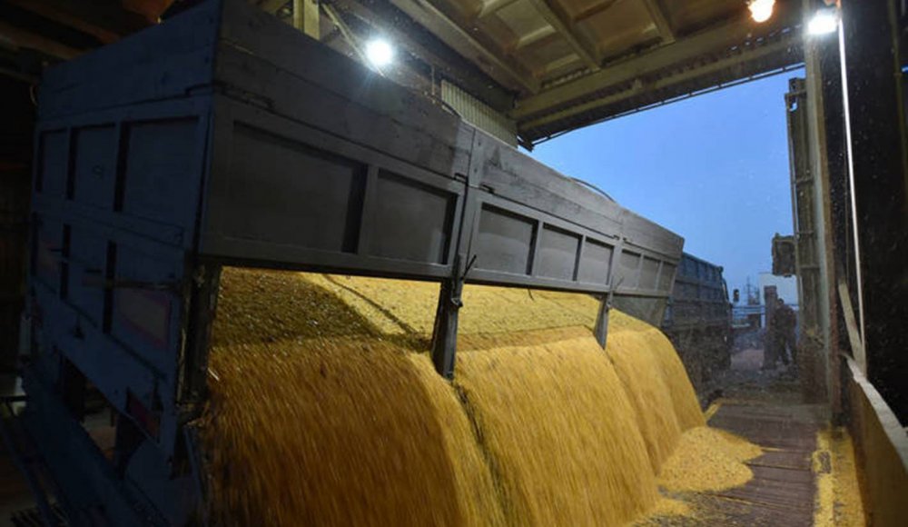 România a încasat peste 507 milioane de euro din exportul de grâu - romaniaexportgrausursapublicnews-1602419855.jpg