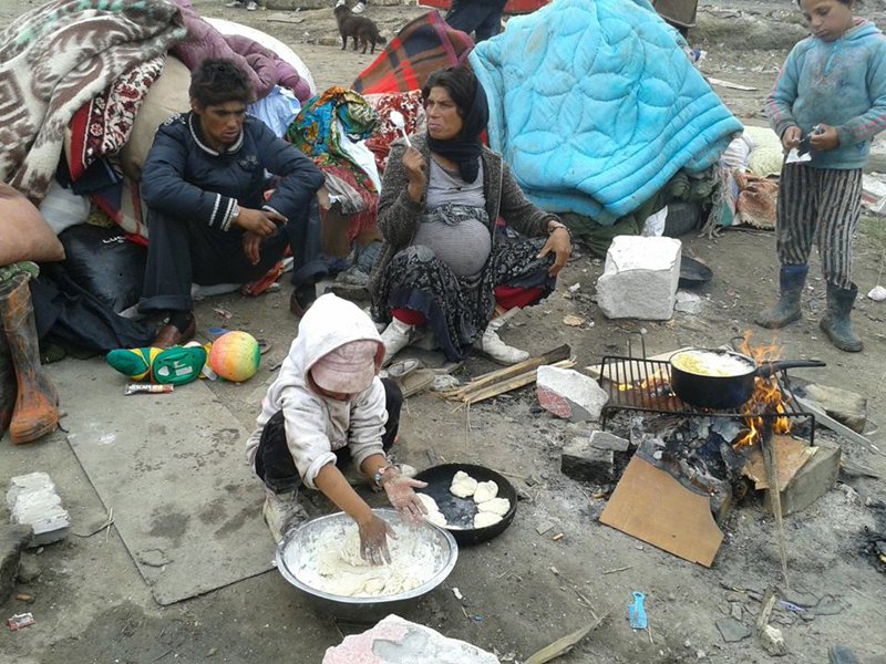 Masă rotundă despre situația romilor evacuați din Eforie Sud - romievacuatieforie31381765359-1385380169.jpg