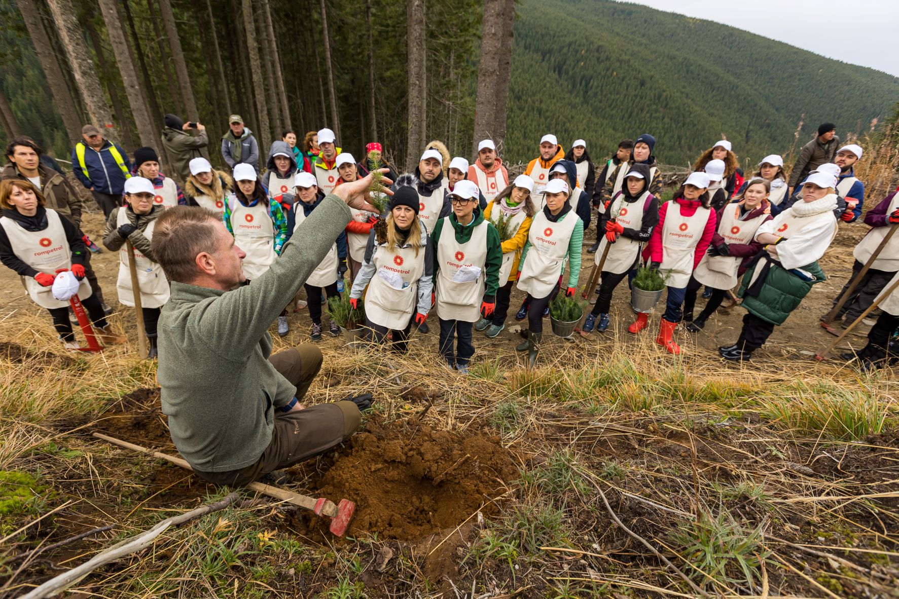 De Ziua Sustenabilității în România angajaţii Rompetrol plantează 10.000 de puieți forestieri în județul Sibiu - rompetrolplantare-toamna-2023pal-1698680637.jpg
