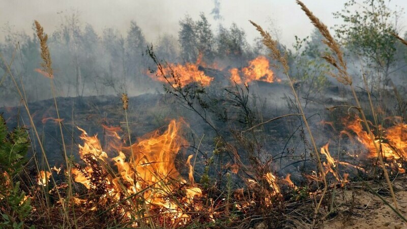 Stare de urgenţă decretată în regiunea rusă Riazan din cauza incendiilor - rusiastareurgenta-1661261426.jpg